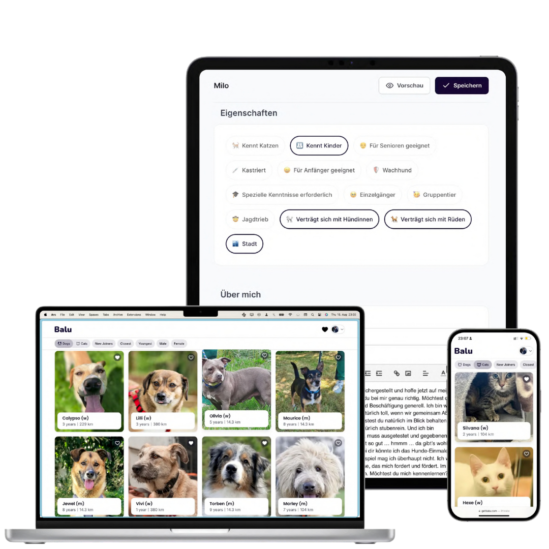 Darstellung der Balu-Plattform auf Tablet, Laptop und Smartphone mit Tierprofilen von Hunden und Katzen sowie einer Bearbeitungsansicht